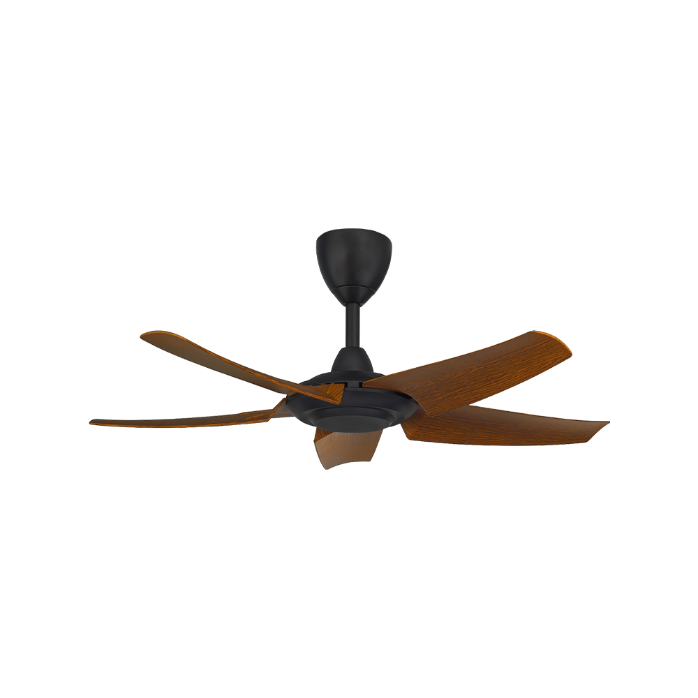 CX20-5B/40 Walnut